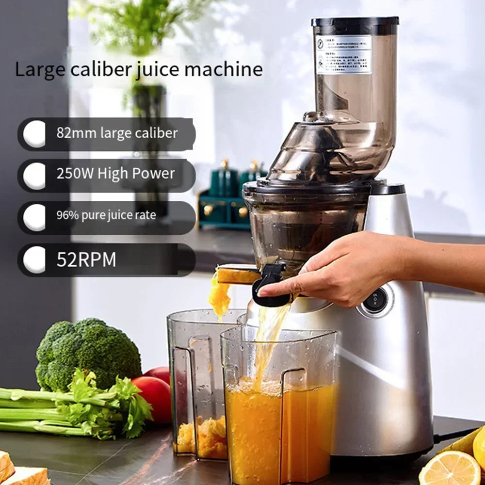 SipNBlend™ Cold Press Juicer Pro