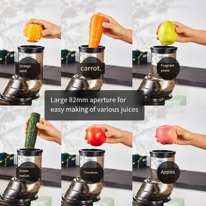 SipNBlend™ Cold Press Juicer Pro